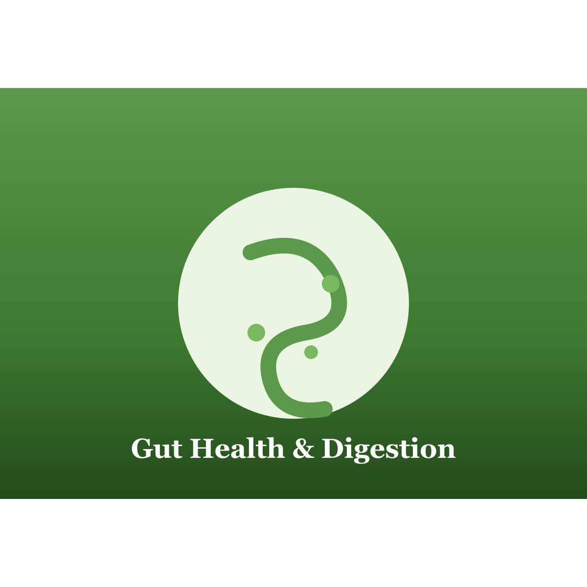 Gut health and digestion